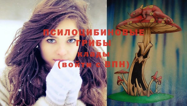 прущий лед Абдулино