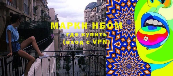 индика Абинск