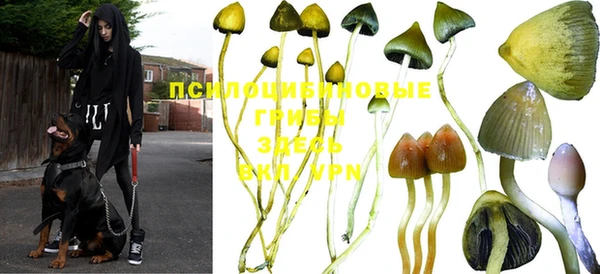 индика Абинск